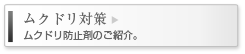ムクドリ対策